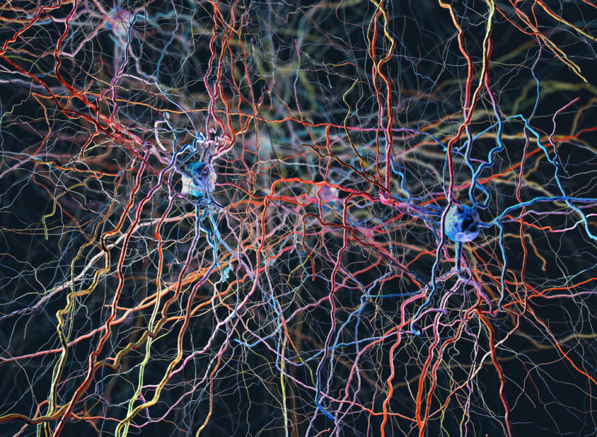 Lung Cancer Cells Connect with Mouse Brain, Revealing New Insights into Disease Progression