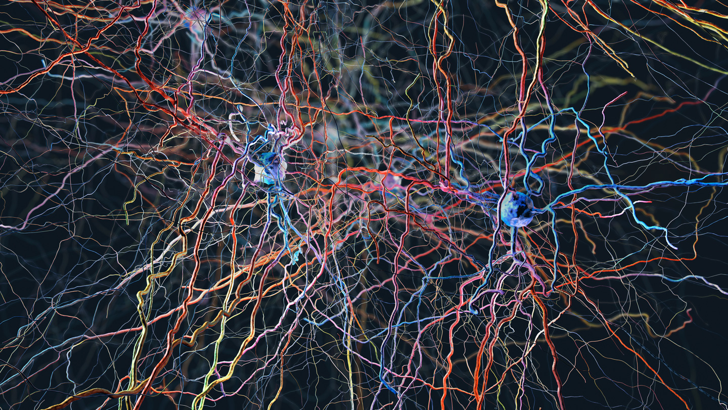 Lung Cancer Cells Connect with Mouse Brain, Revealing New Insights into Disease Progression