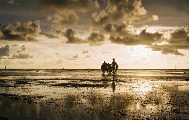 Cooling La Niña could be back, but global temperatures set to rise: WMO