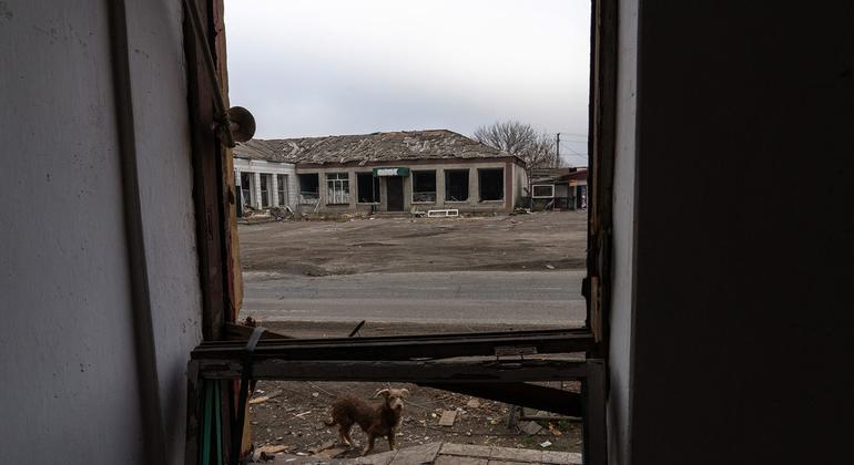 Ukraine: Russian strike on village kills over 20, mostly pensioners