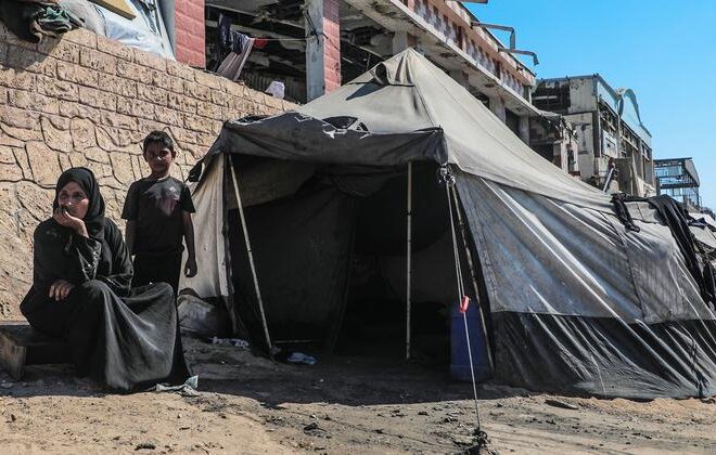 Gaza: International community must ‘match words with action’ now