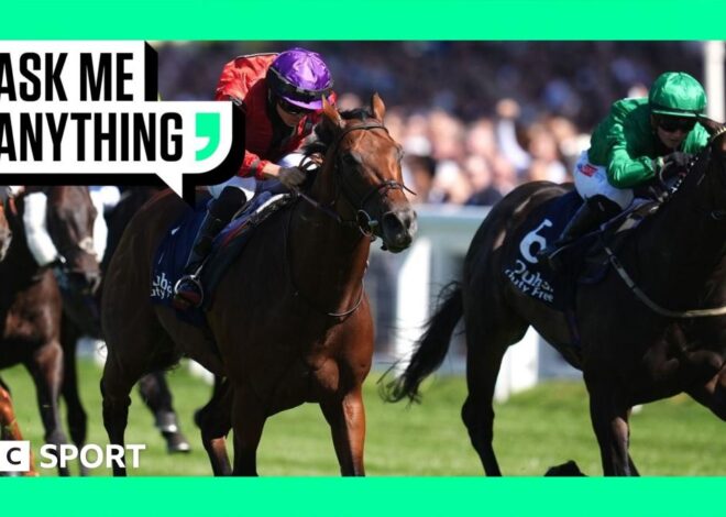 Horse racing strike: British racing in protest over proposed betting tax rise