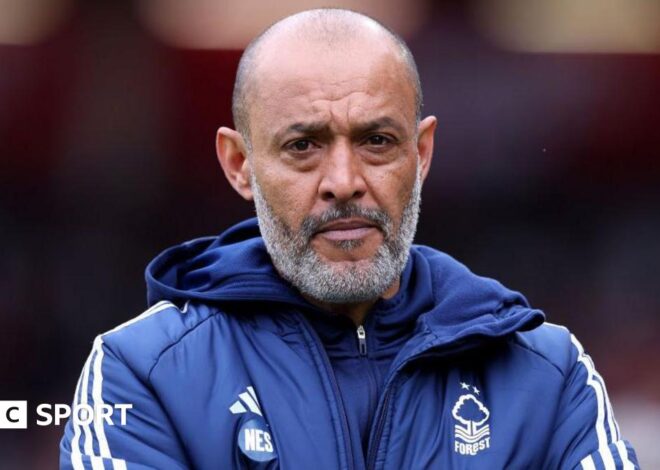 Black Premier League managers: ‘Football risks losing generation of black managers’