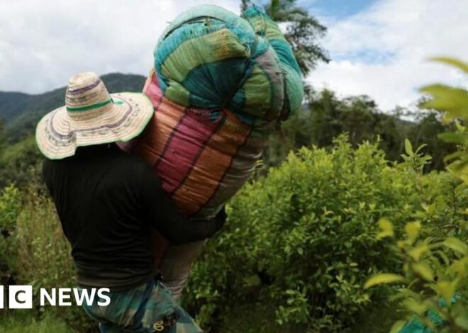 US designates Colombia country 'failing to cooperate in drug war'