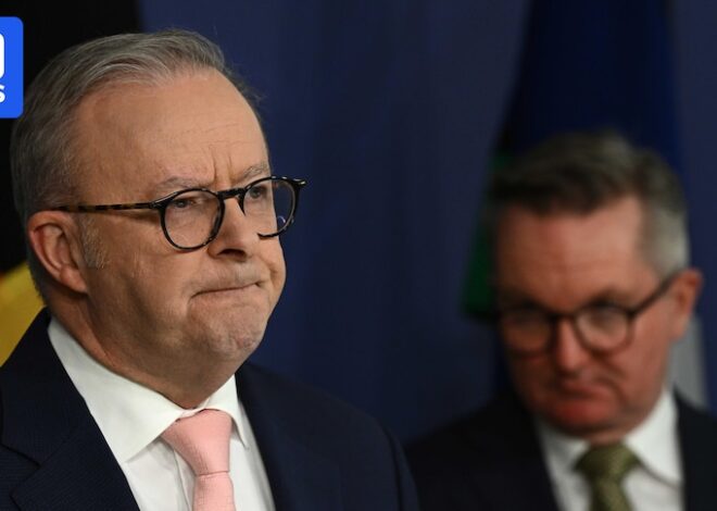 Republicans Issue Strong Warning to Albanese on Potential Consequences of Palestinian Recognition