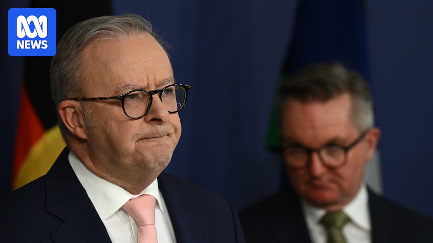 Republicans Issue Strong Warning to Albanese on Potential Consequences of Palestinian Recognition