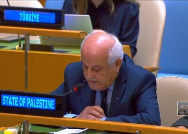 UN assembly votes to back two-state solution to Israel-Palestinian conflict