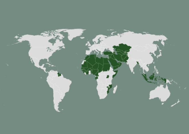 Who are the 57 members of the Organisation of Islamic Cooperation? | Israel-Palestine conflict News | Al Jazeera