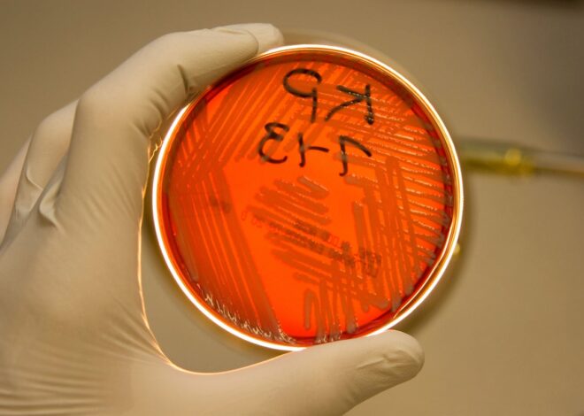 CDC Alerts on Rising ‘Nightmare Bacteria’ Infections Rendering Key Carbapenem Antibiotics Ineffective