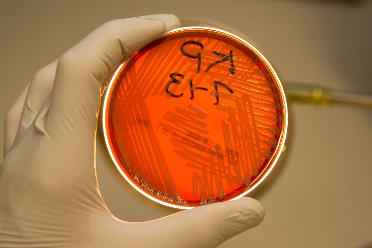 CDC Alerts on Rising ‘Nightmare Bacteria’ Infections Rendering Key Carbapenem Antibiotics Ineffective
