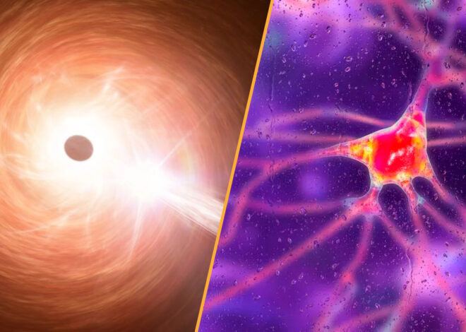 Weekly Science Update: Breakthrough Cure for Huntington’s Disease and Rapidly Expanding Black Hole Challenges Physics Principles