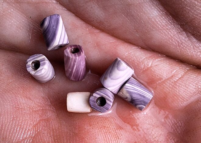 Rare 17th-Century Wampum Beads Discovered at Newfoundland Colony
