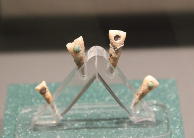 New Study Reveals 7-Year-Old Maya Child Had Green Jade Tooth Gem