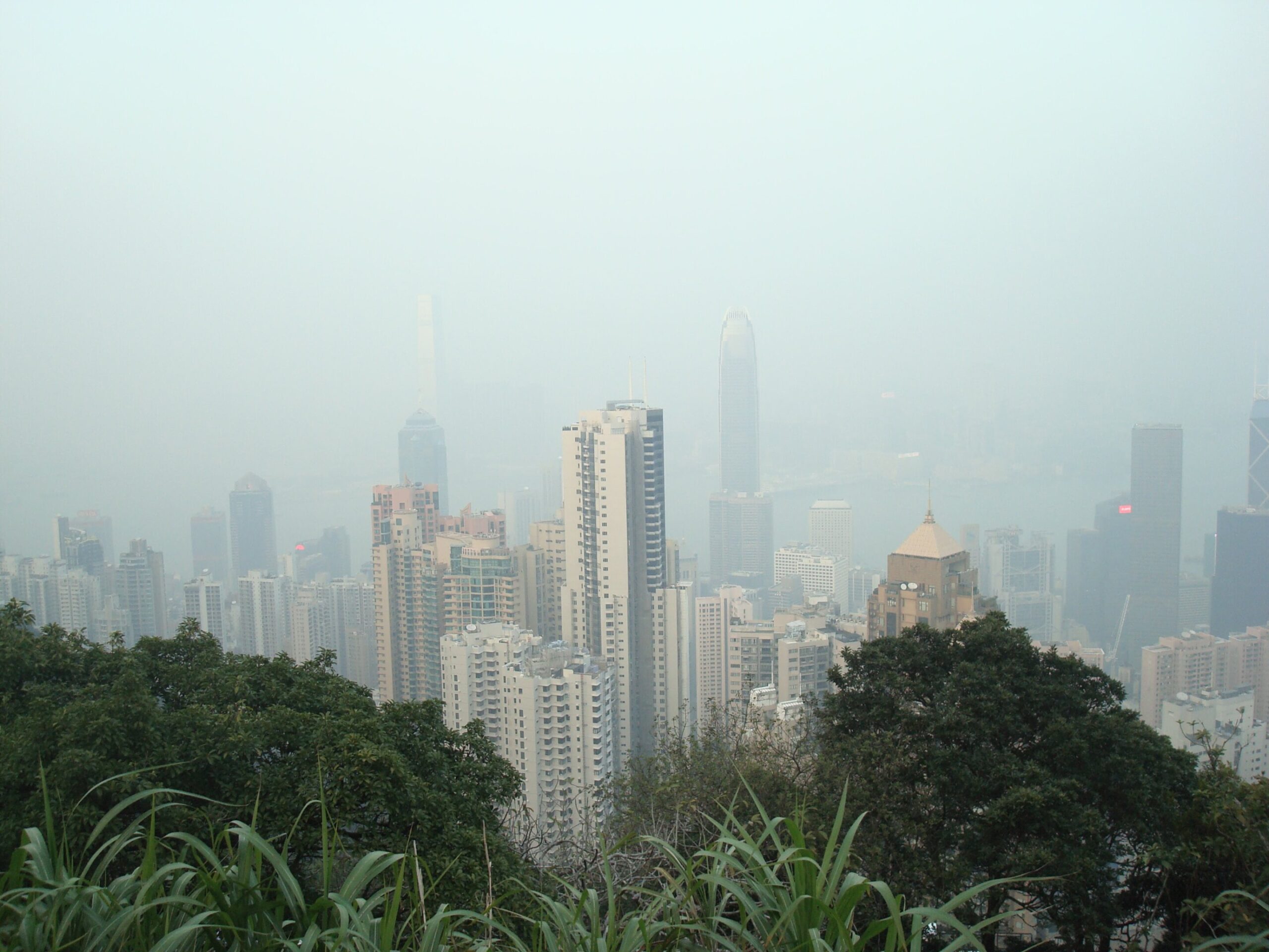 Air pollution linked to faster buildup of toxic proteins in Alzheimer’s brains