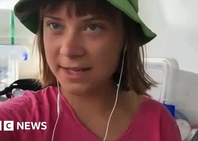 Greta Thunberg Refutes Claims That Gaza Flotilla Is a Publicity Stunt