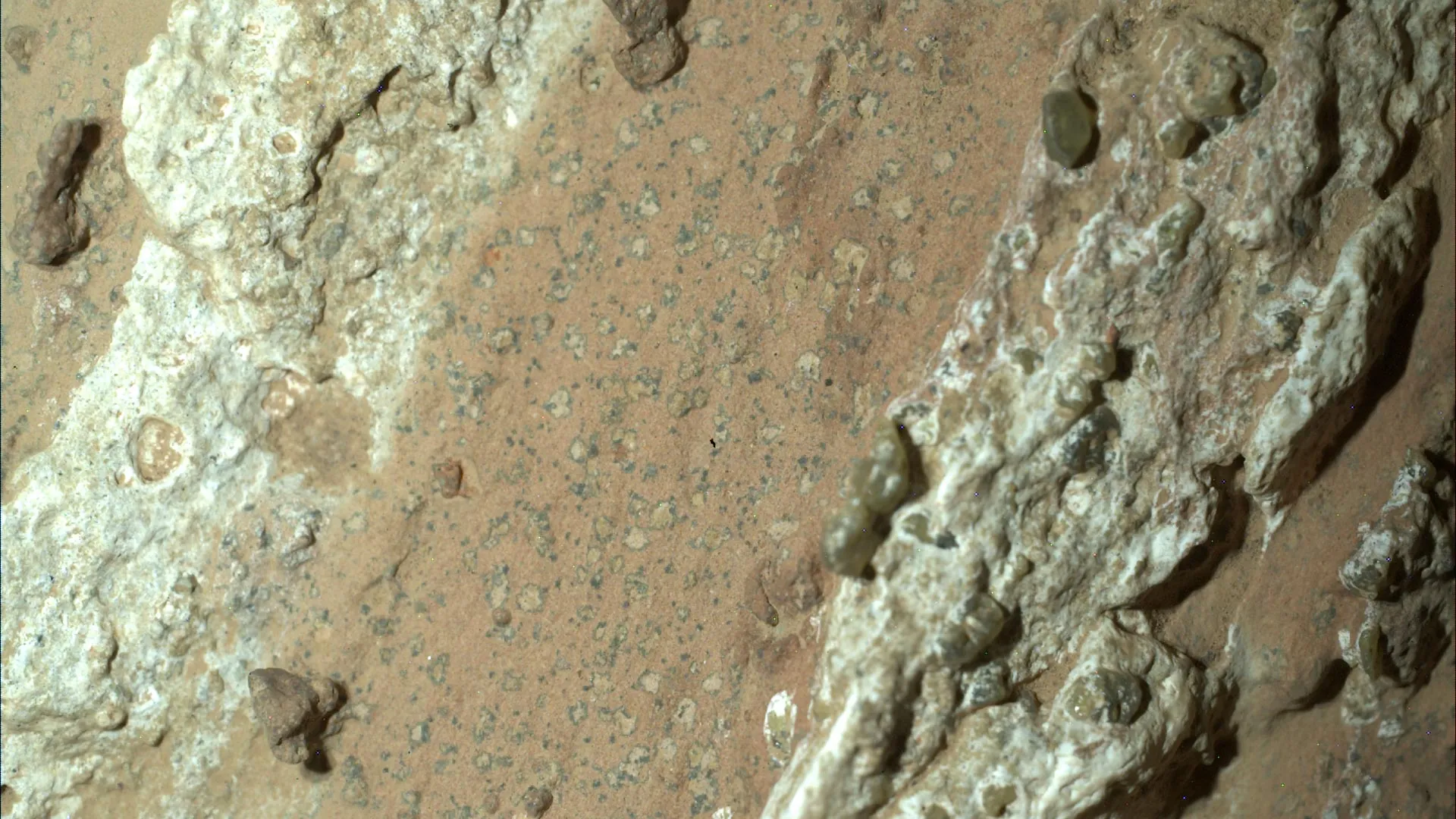 Life on Mars? NASA discovers potential biosignatures in Martian mudstones