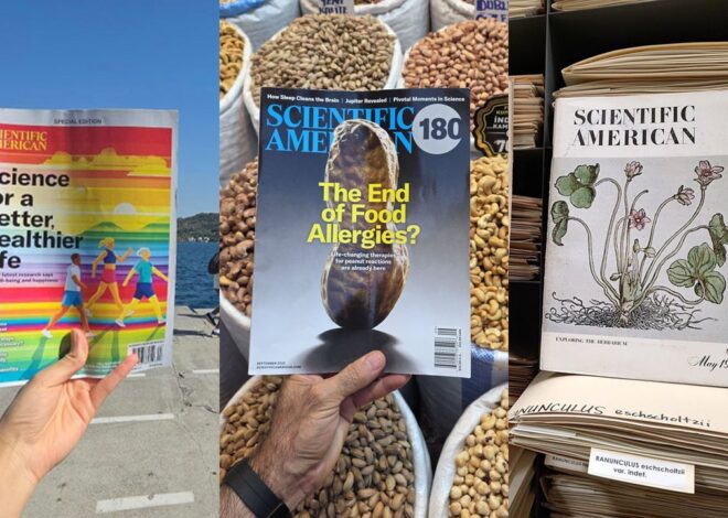 Introducing the Shortlist for the #SciAmInTheWild Photography Contest