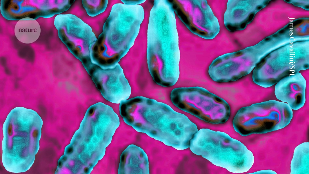 New Study Reveals Bacterial Toxins as an Unexpected Ally Against Common Air Pollutants