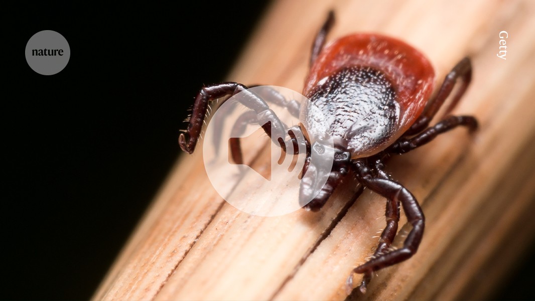 Understanding How a Risky Tick-Borne Virus Invades the Brain