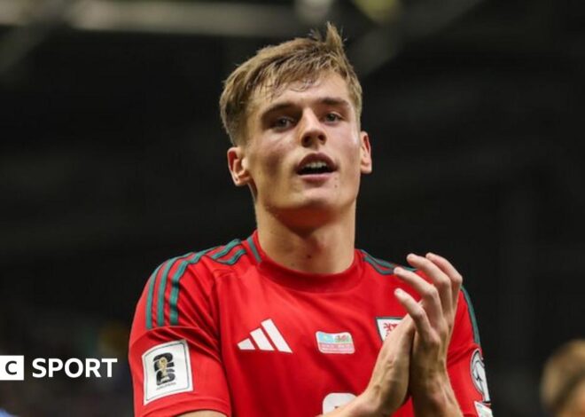 Dylan Lawlor: The rapid rise of Cardiff City and Wales defender