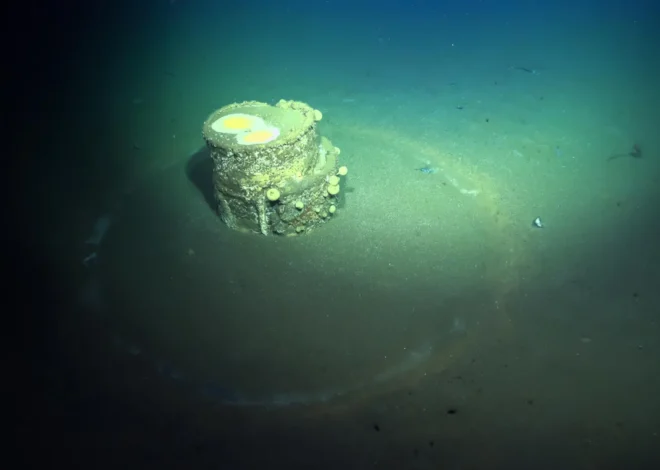 Scientists finally solve the mystery of ghostly halos on the ocean floor