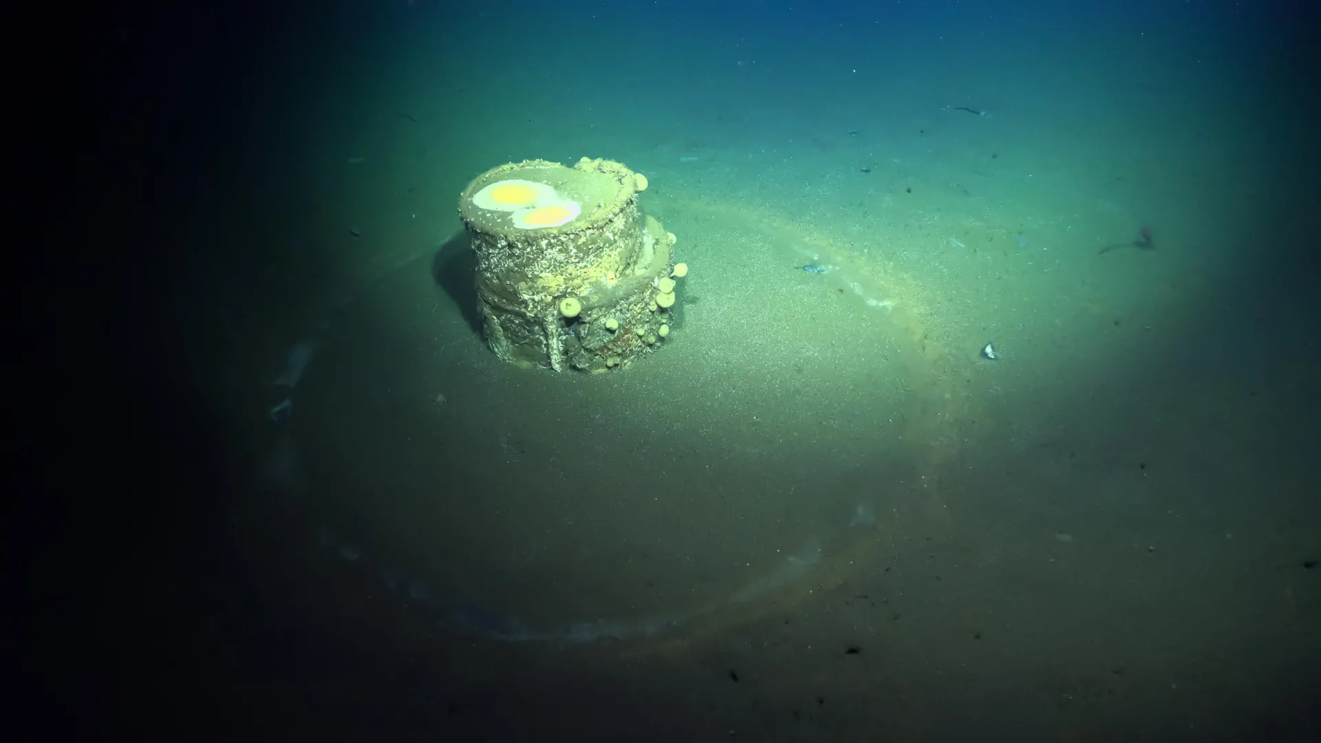 Scientists finally solve the mystery of ghostly halos on the ocean floor