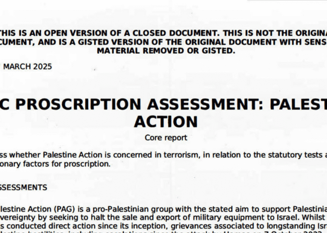 Read the U.K. Report on Palestine Action