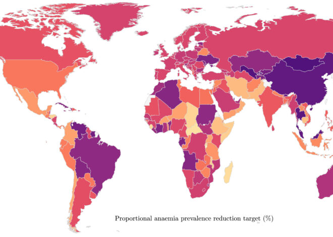 Experts shape global roadmap to reduce anemia