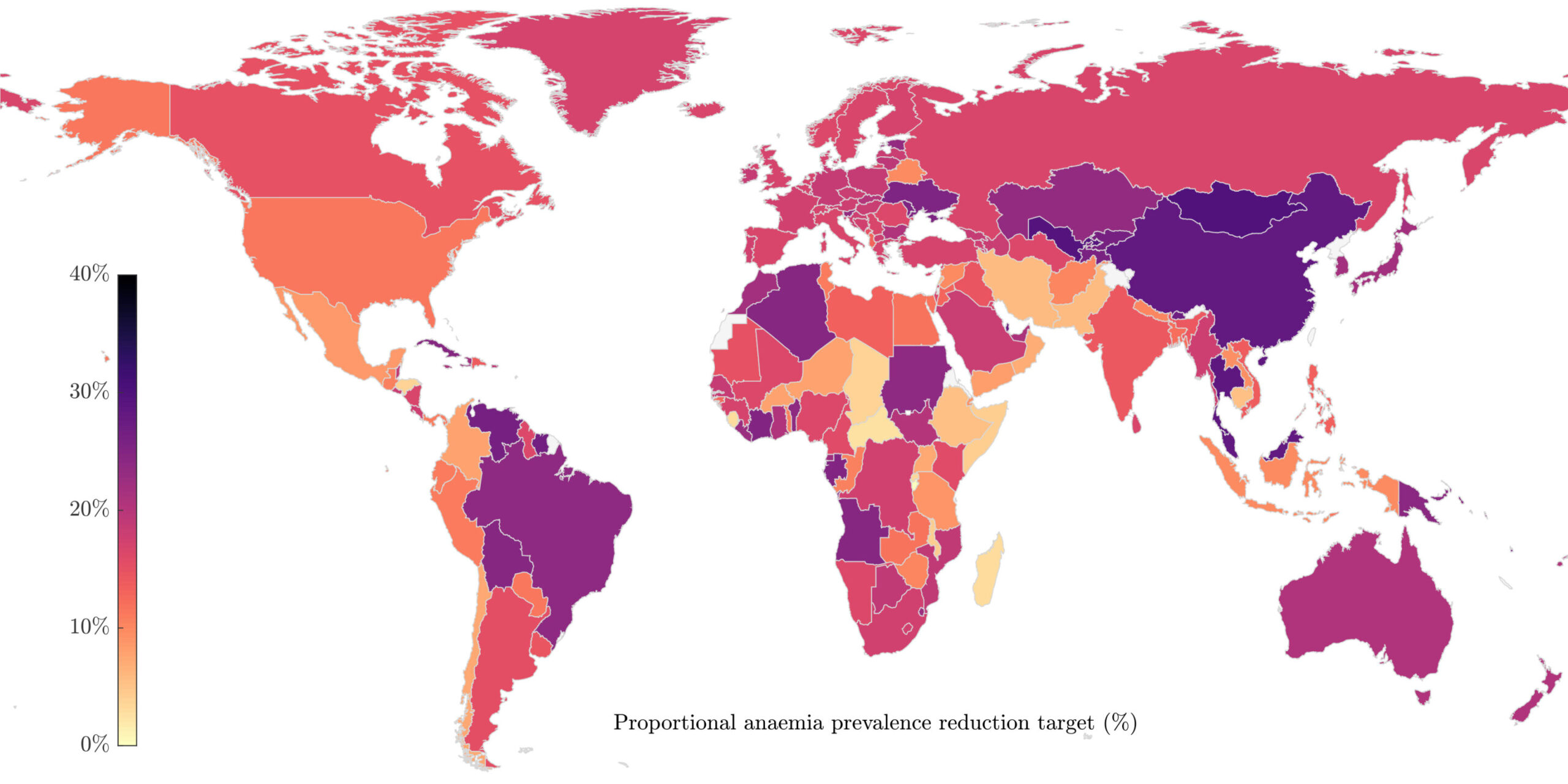 Experts shape global roadmap to reduce anemia