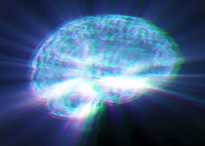 Sweeteners in diet drinks may steal years from the brain