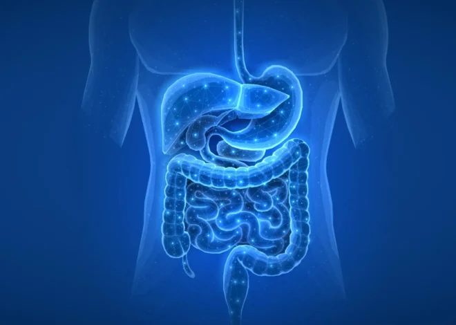 Surprising gut discovery reveals a hidden trigger of diabetes and liver disease