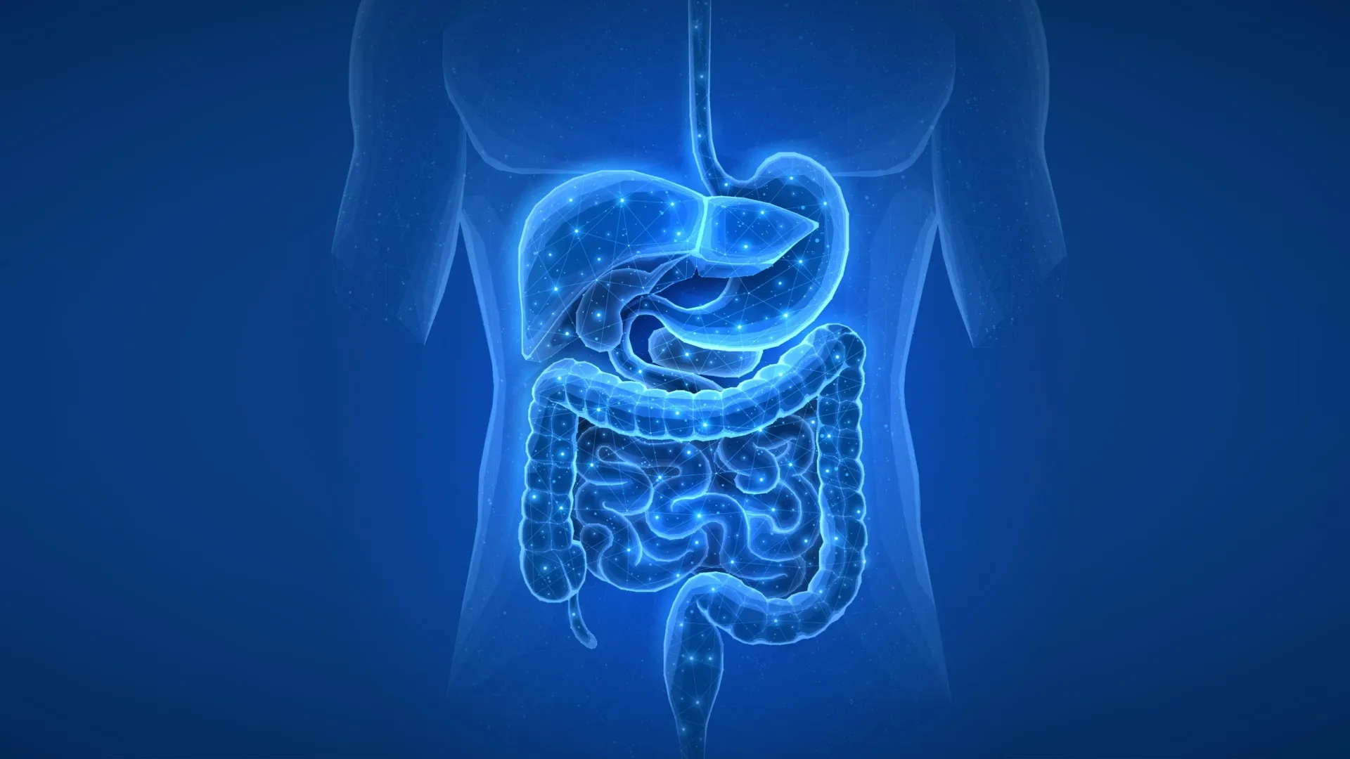 Surprising gut discovery reveals a hidden trigger of diabetes and liver disease