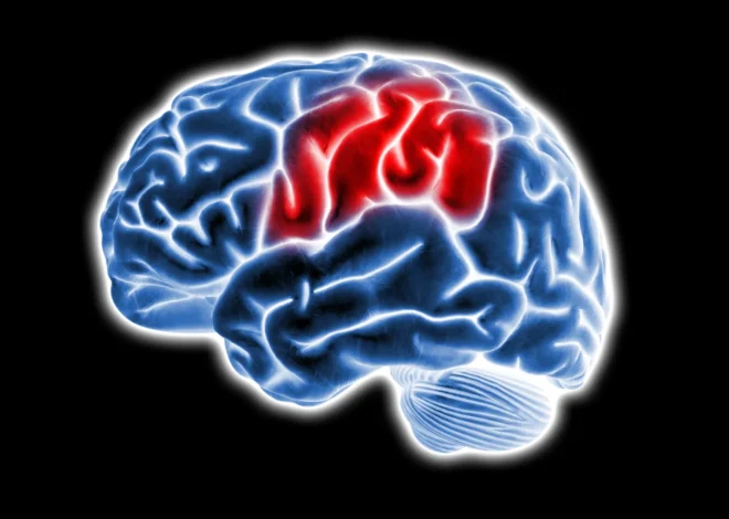 Why Alzheimer’s attacks the brain’s memory hub first