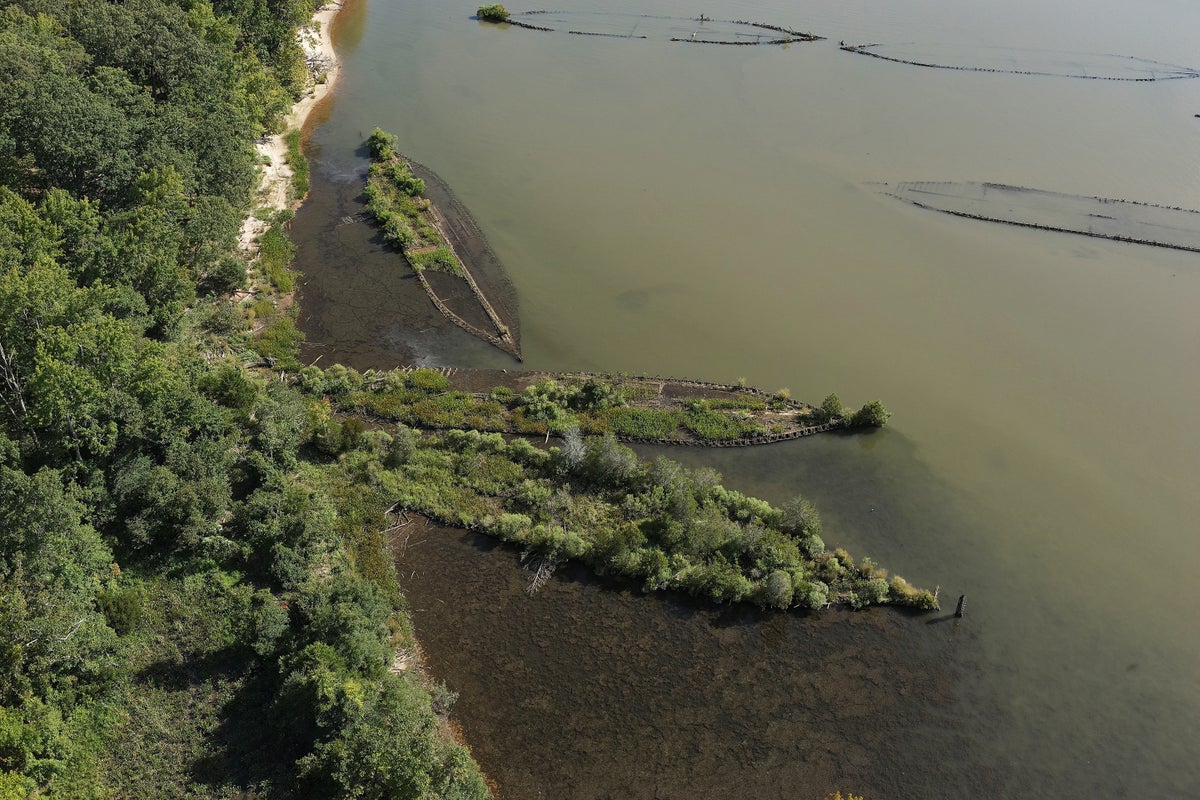 WWI Shipwrecks in Mallows Bay Create a New Ecological Sanctuary