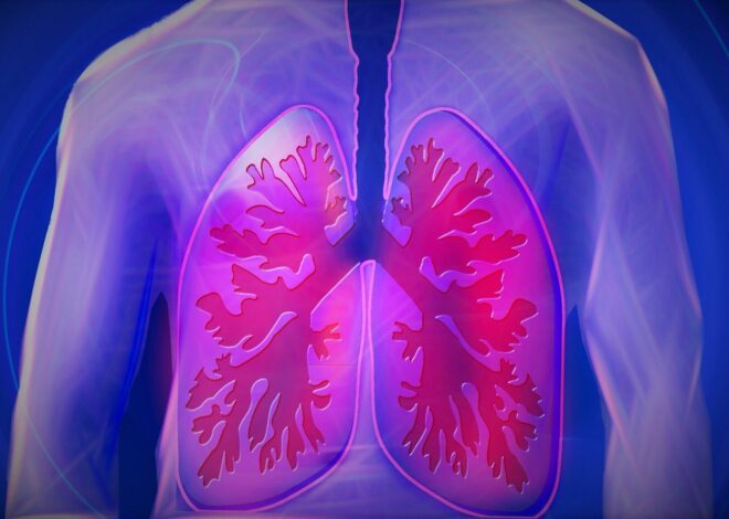 First-in-human trial shows promising results for antibody-drug conjugate in relapsed small cell lung cancer