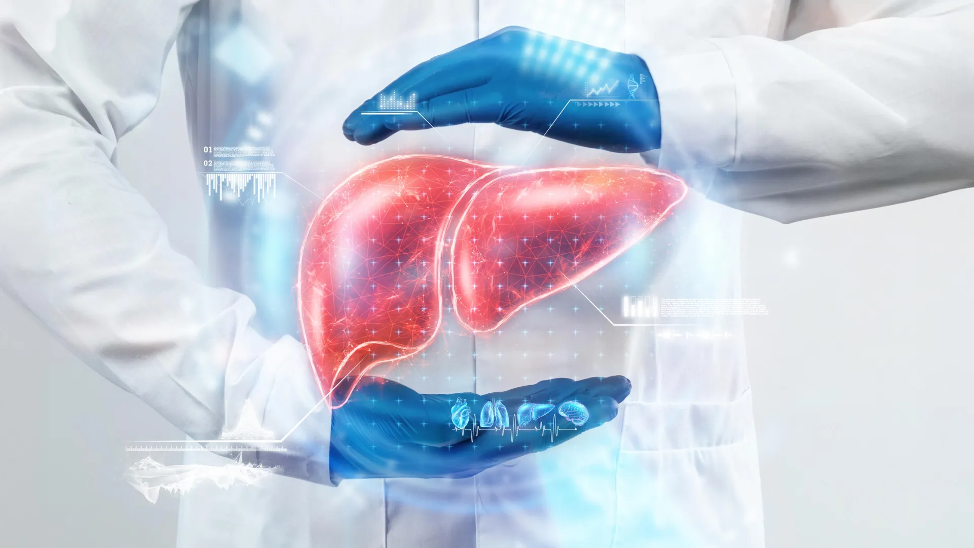 Fatty liver breakthrough: A safe, cheap vitamin shows promise