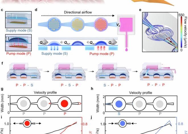Wireless neural interface could be used for drug delivery to deep brain regions