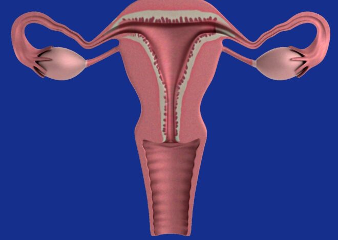 Misconceptions keep some cancer patient populations from benefiting from hormone therapy, survey reveals