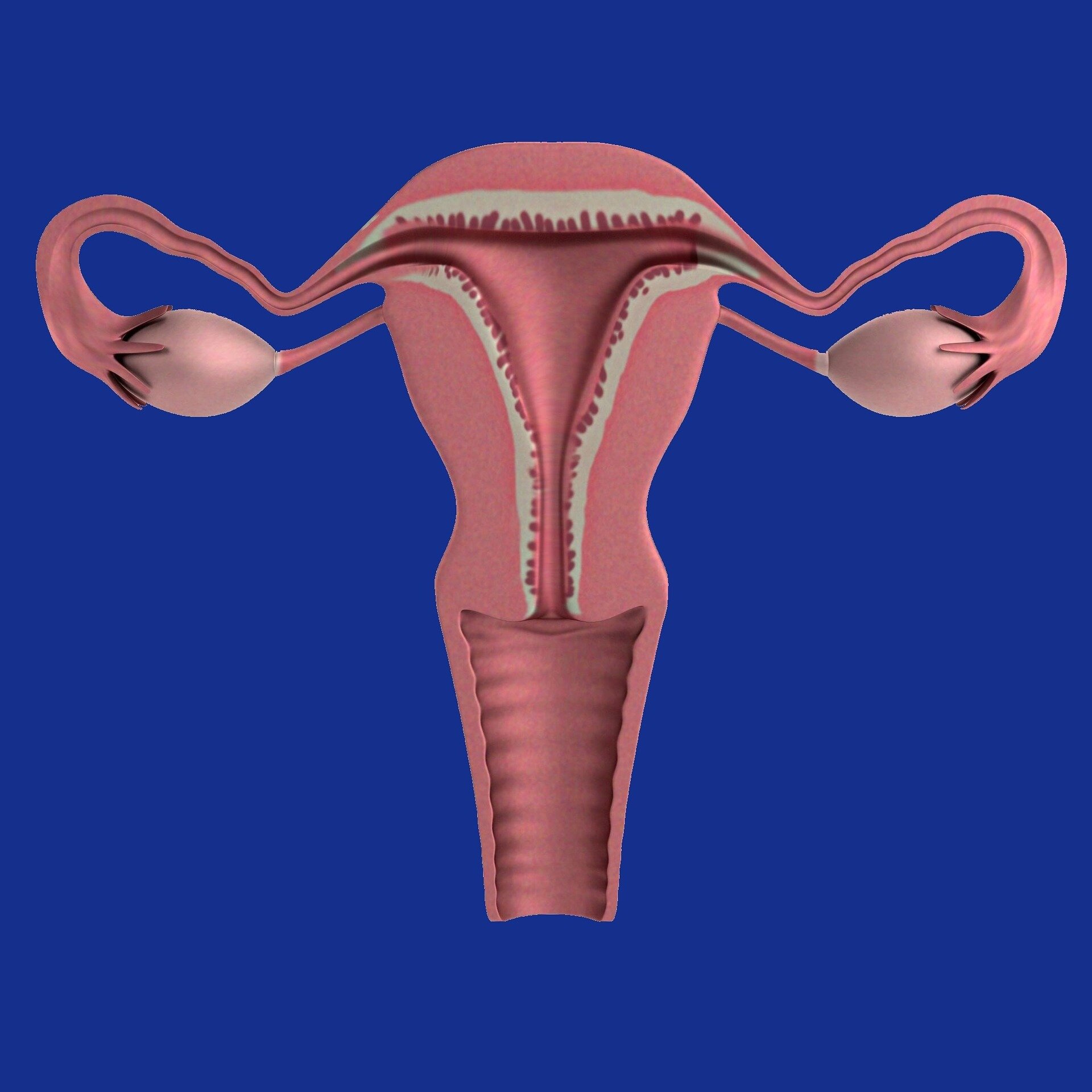 Misconceptions keep some cancer patient populations from benefiting from hormone therapy, survey reveals