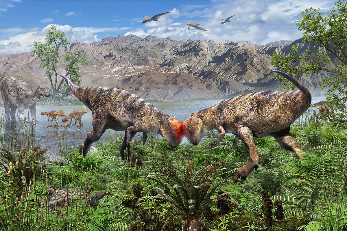 Discovery of the Oldest Known Pachycephalosaur Fossil in Mongolia