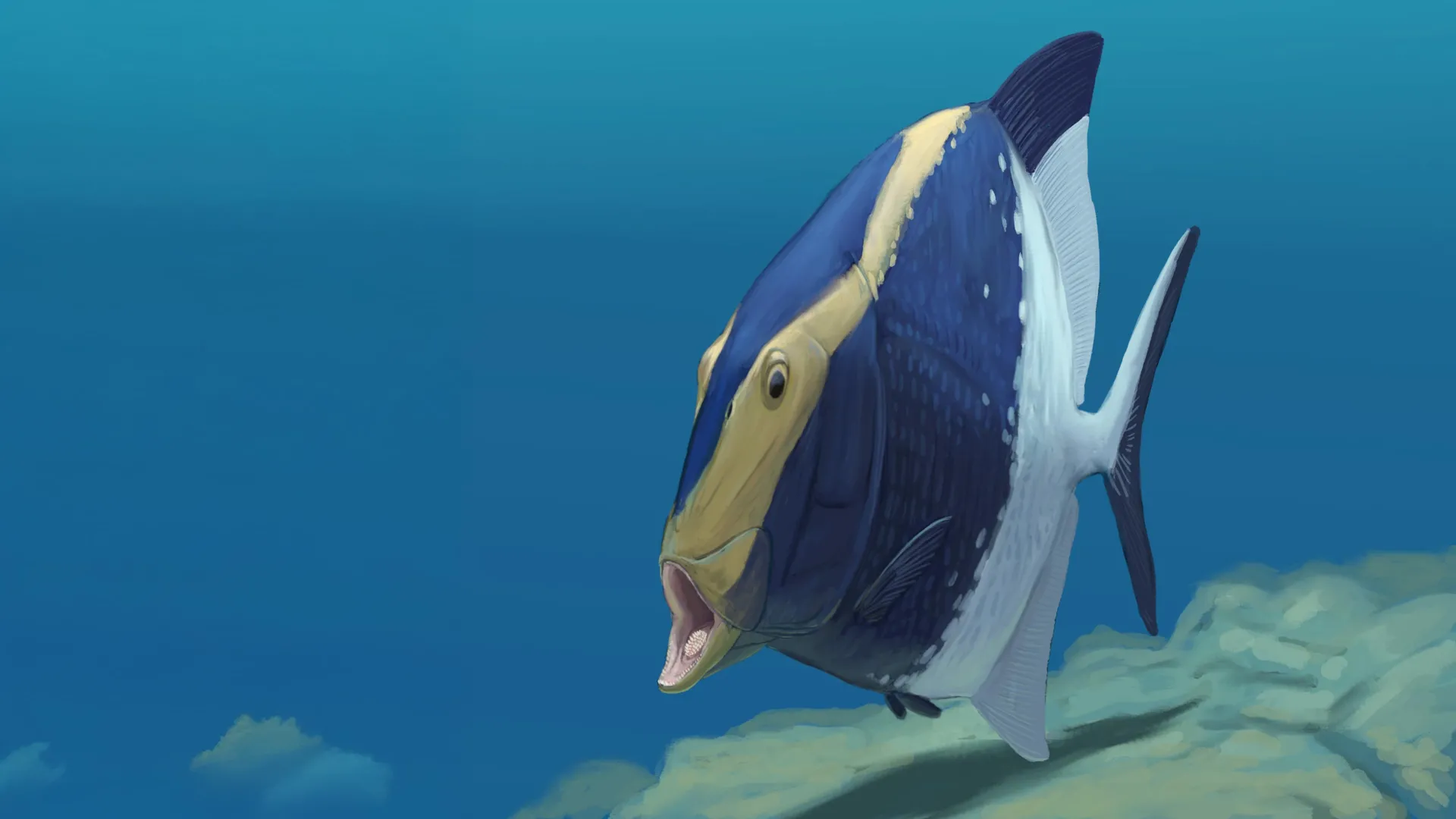 Fossil reveals a 310-million-year-old fish that ate with a hidden second jaw