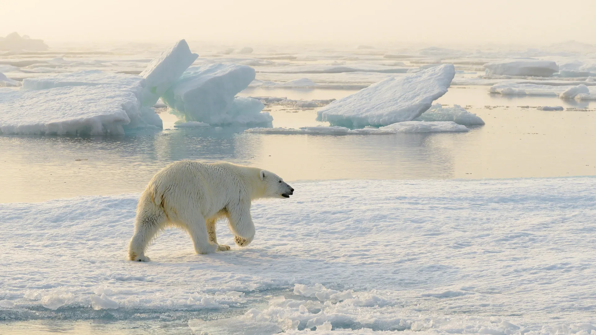 Satellites confirm 1990s sea-level predictions were shockingly accurate