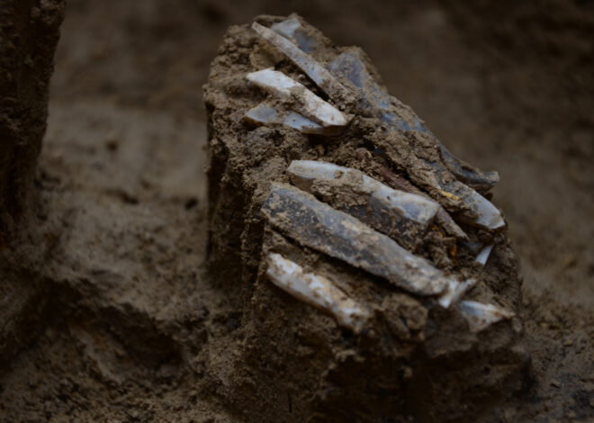 Ancient 30,000-Year-Old Toolkit Discovered in Czech Republic Offers Rare Insight into Stone Age Hunter-Gatherers