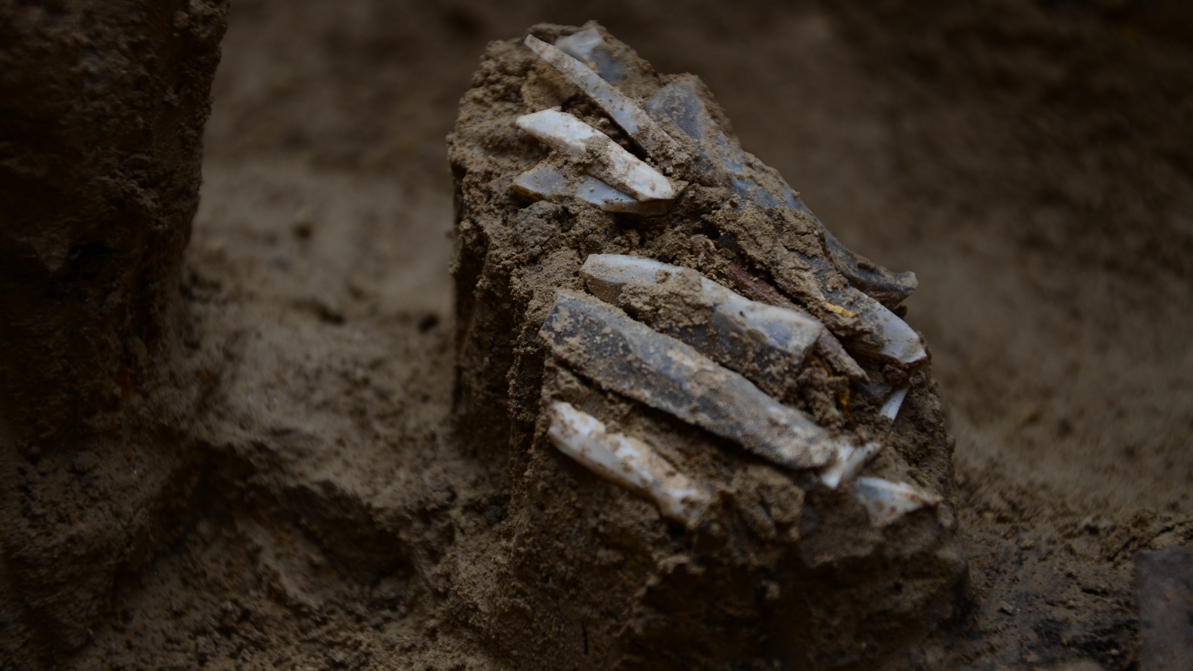 Ancient 30,000-Year-Old Toolkit Discovered in Czech Republic Offers Rare Insight into Stone Age Hunter-Gatherers