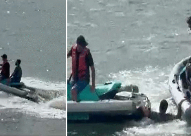 Cruise ship passenger in Puerto Rico jumps overboard allegedly to avoid $16,000 gambling debt