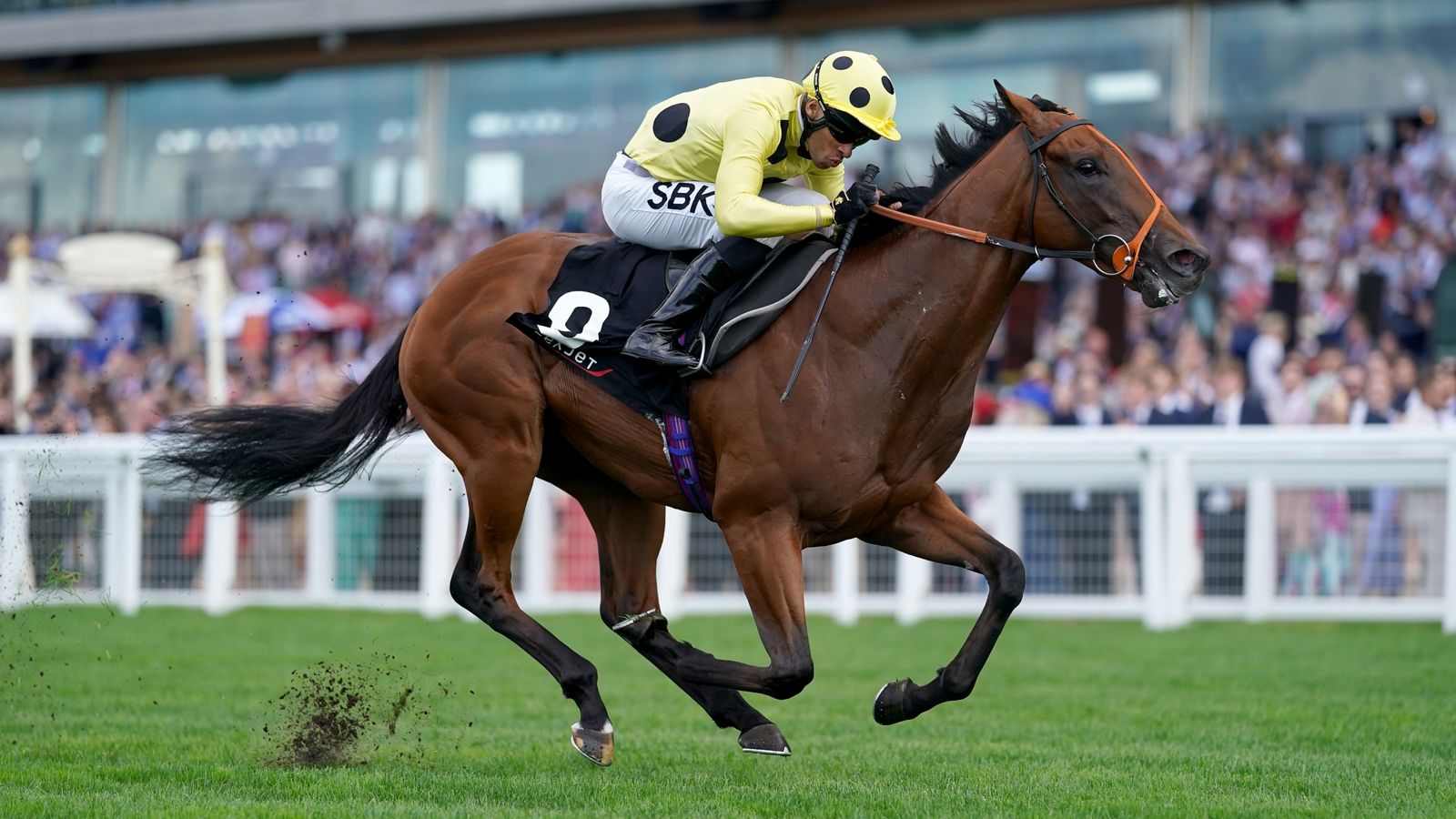 Today on Sky Sports Racing: Rosallion faces Henri Matisse in Prix du Moulin showdown at ParisLongchamp | Racing News