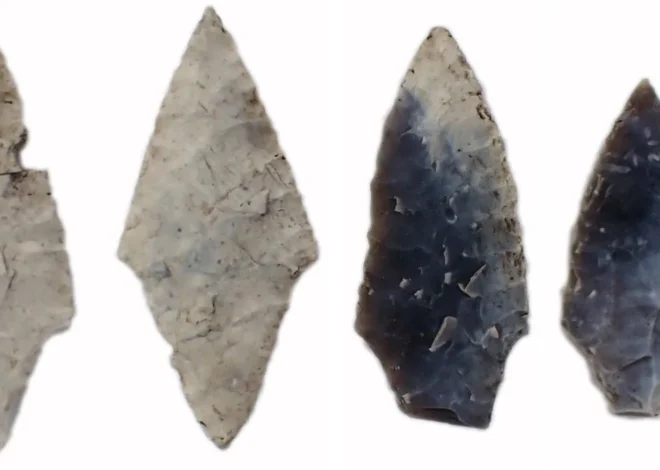 Secrets unearthed: Women and children buried with stone tools