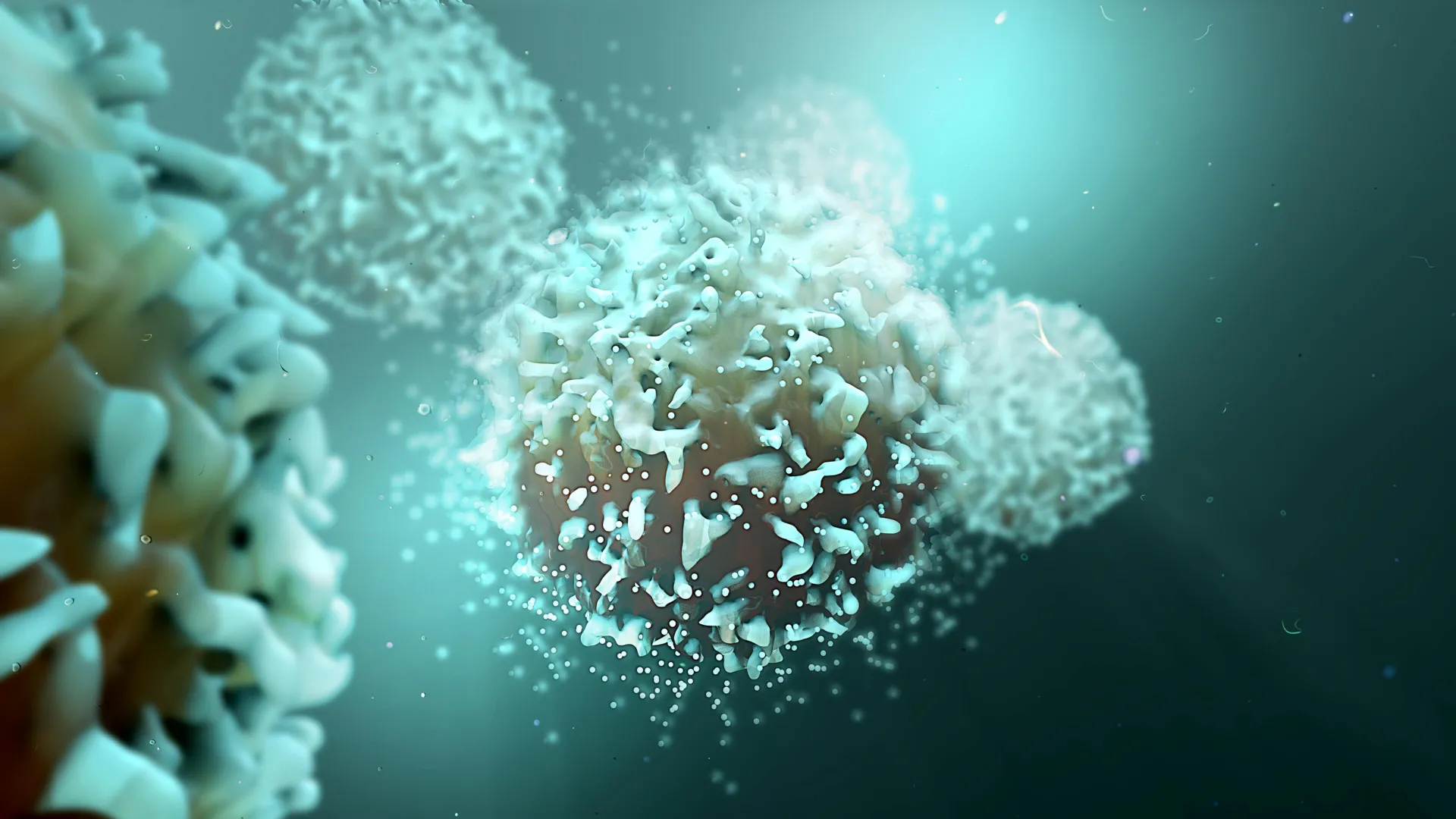 This common sugar builds stronger cancer-killing T cells