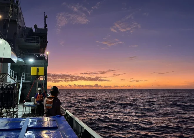 The ocean’s most abundant microbe is near its breaking point