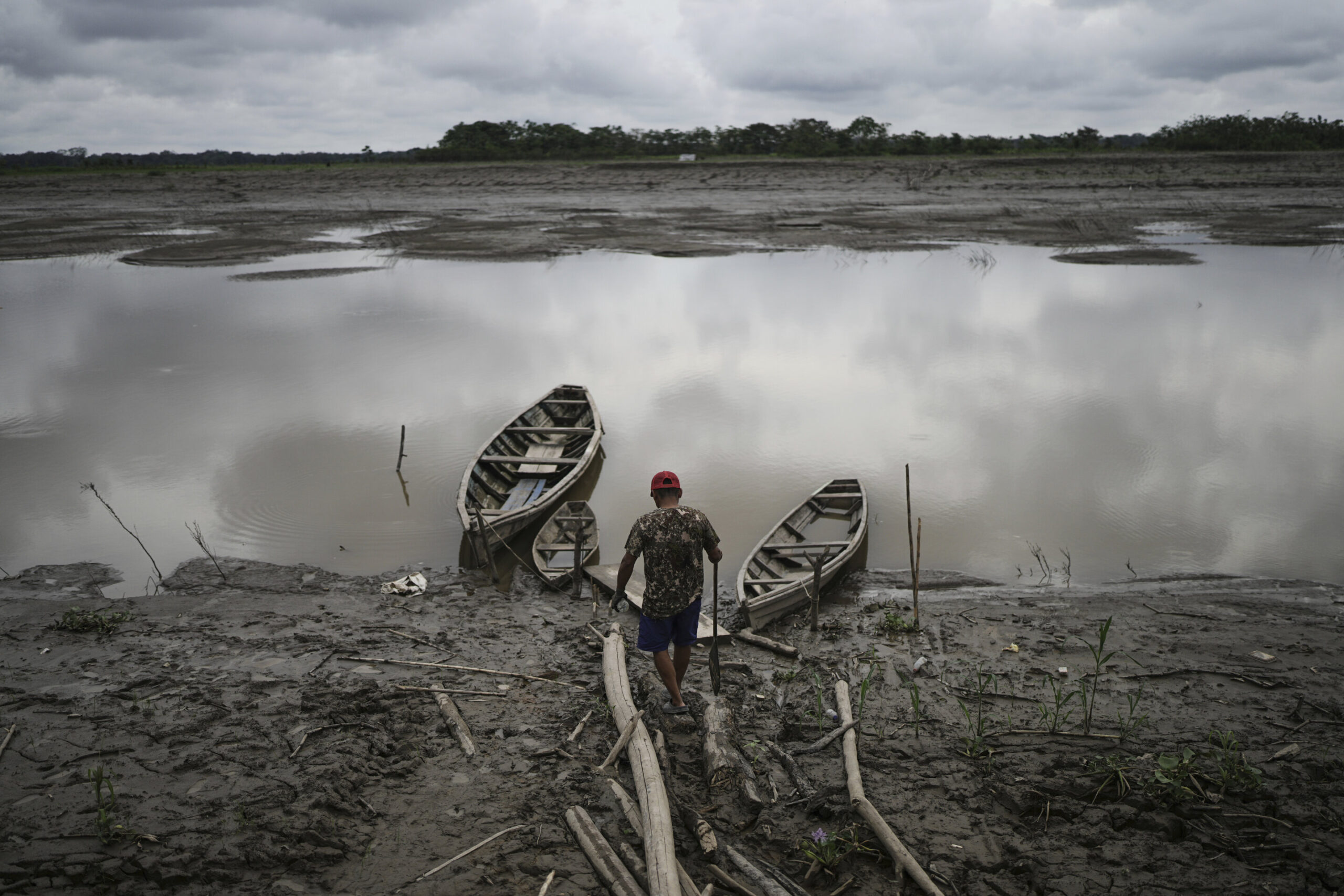 Well-preserved Amazon rainforest on Indigenous lands can protect people from diseases, study finds